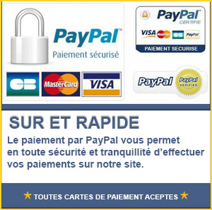 stage-permis-a-points-melun-paypal